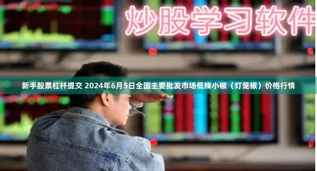 新手股票杠杆提交 2024年6月5日全国主要批发市场低辣小椒（灯笼椒）价格行情