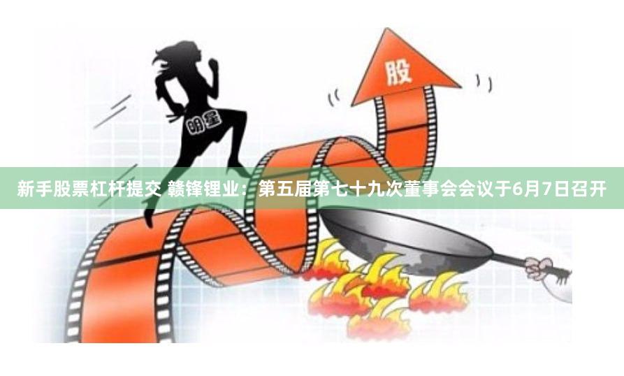 新手股票杠杆提交 赣锋锂业：第五届第七十九次董事会会议于6月7日召开