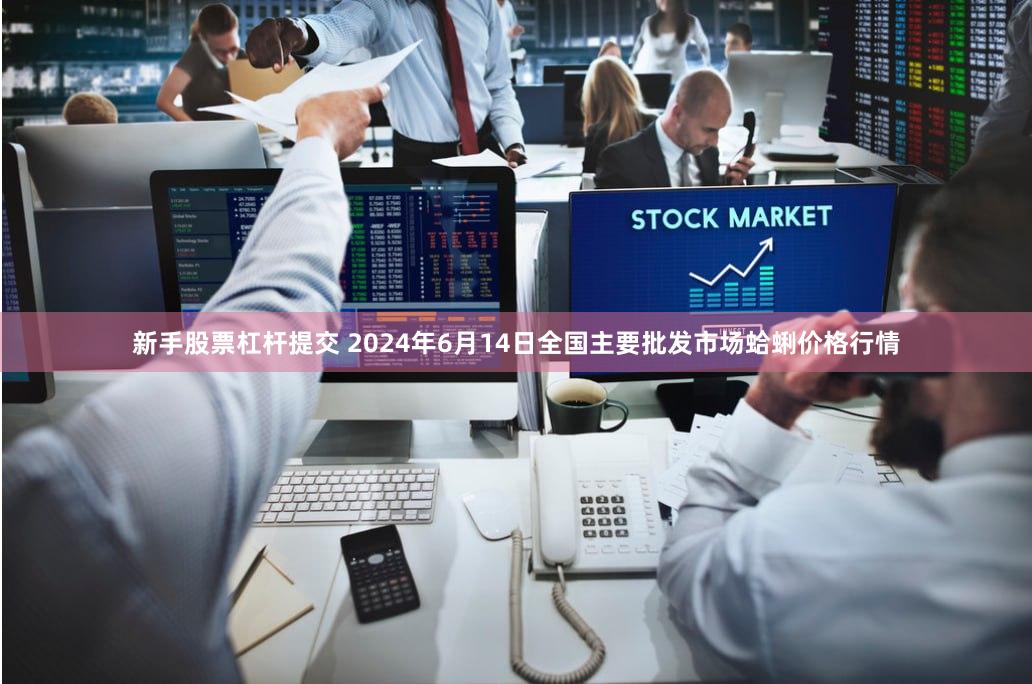 新手股票杠杆提交 2024年6月14日全国主要批发市场蛤蜊价格行情