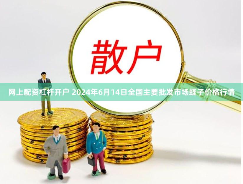 网上配资杠杆开户 2024年6月14日全国主要批发市场蛏子价格行情