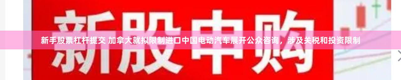 新手股票杠杆提交 加拿大就拟限制进口中国电动汽车展开公众咨询，涉及关税和投资限制