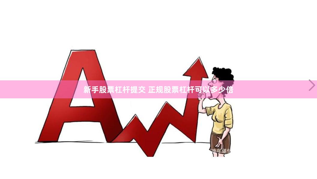 新手股票杠杆提交 正规股票杠杆可以多少倍