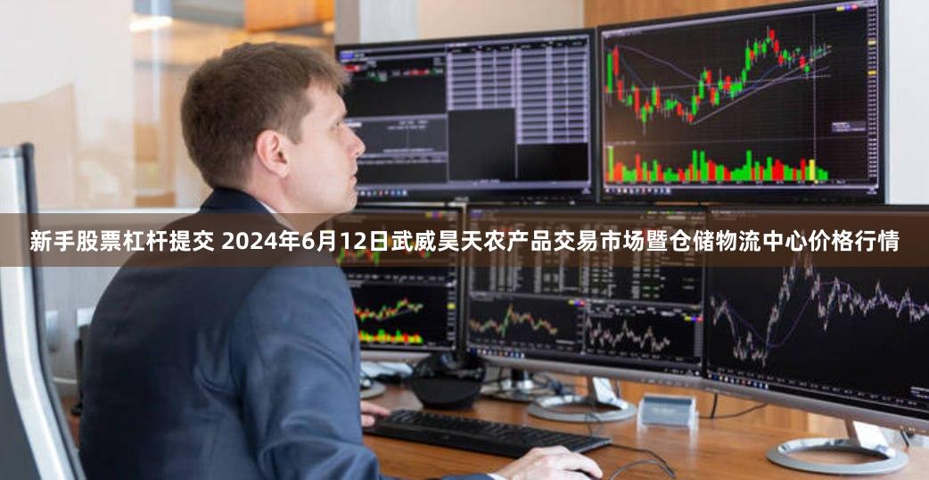 新手股票杠杆提交 2024年6月12日武威昊天农产品交易市场暨仓储物流中心价格行情