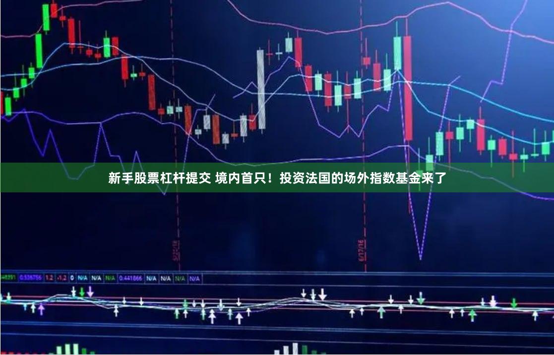 新手股票杠杆提交 境内首只！投资法国的场外指数基金来了