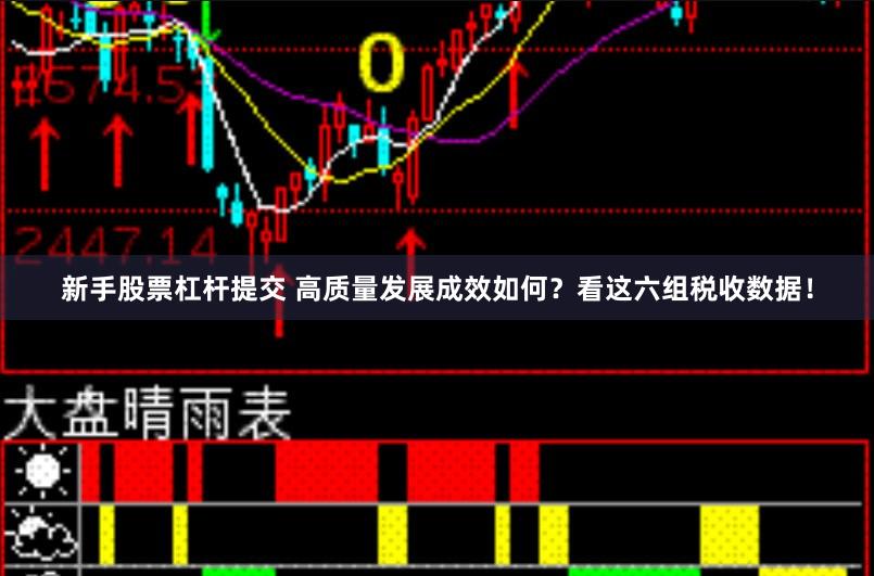 新手股票杠杆提交 高质量发展成效如何？看这六组税收数据！